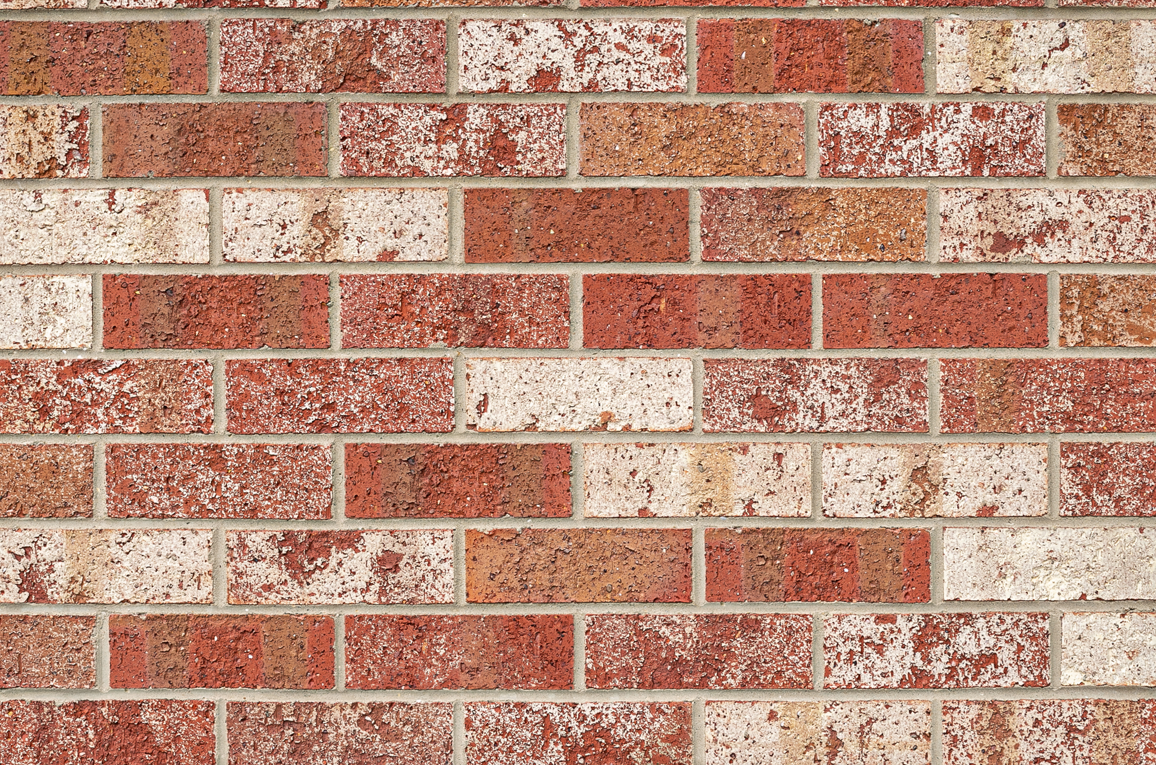 Blush Bricks 230x110x76mm (Red) SALE